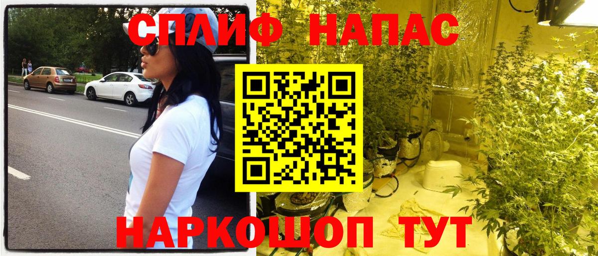 Марихуана сатива Заволжье
